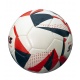 Pallone Liga